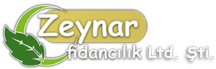Zeynar Fidancılık Ltd. Şti. Logosu
